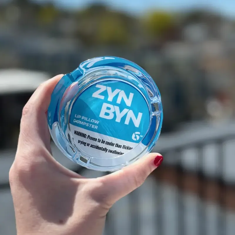 Official Lip Pillow Dumpster - Buysnuseveryday